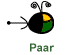 Paar