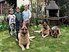 Klicken Sie hier ... um dieses Bild zu vergr�ssern
