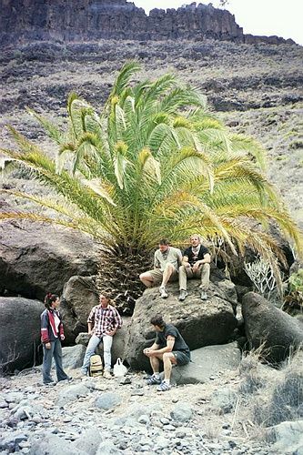GranCanaria102.JPG