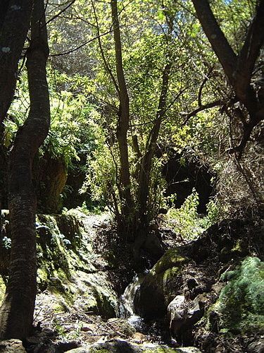GranCanaria073.JPG
