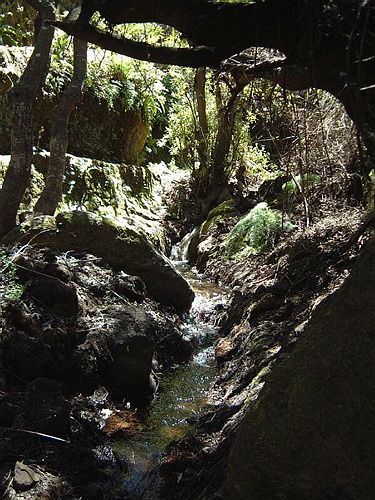 GranCanaria074.JPG