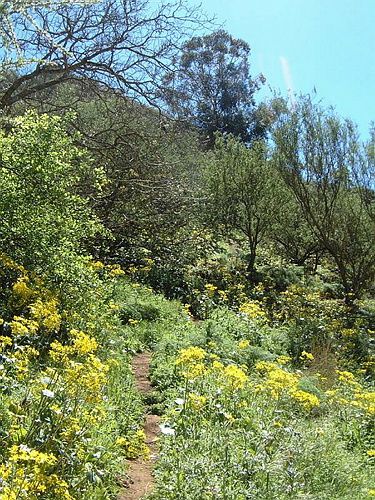 GranCanaria075.JPG