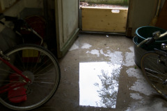 200508-DSC_1560