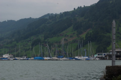 200508-DSC_1575