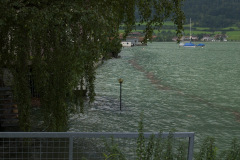 200508-DSC_1578