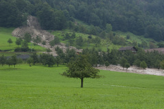 200508-DSC_1581